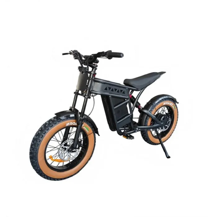 2500W Dual Motor Motorbikes