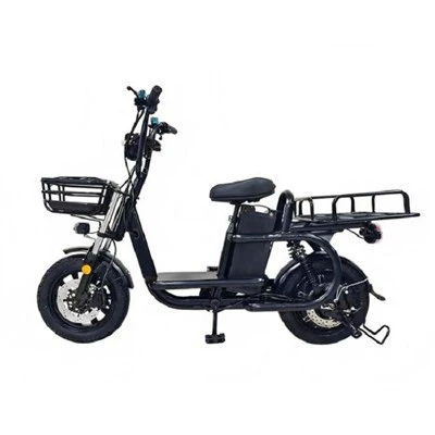 Biciclete electrice de marfă pentru familii
